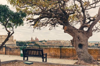Viewpoint with bench of Valletta old town, Malta skyline with old trees. Cityscape of ancient city. Travel destination in Europe