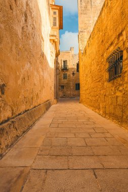 Ancient narrow medieval cobblestone street in town Mdina, Malta with nobody in sunny day. Vertical orientation. Travel destination