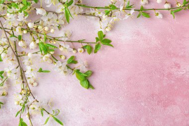 Blooming flower cherry blossom branches on pastel pink background. Flat lay. Spring background. Top view