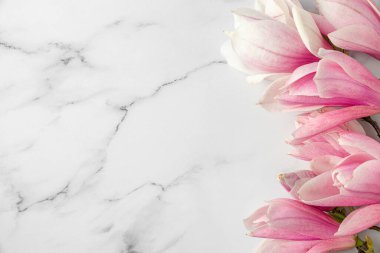 Pink magnolia flowers on white marble background. Flat lay. Spring background. Holiday or wedding card. Top view with copy space