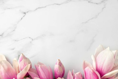 Pink magnolia flowers on white marble background. Wedding card. Flat lay. Layout. Top view with copy space