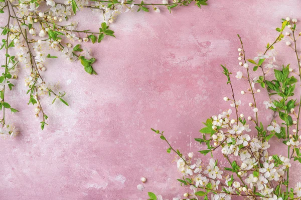 Cherry blossom spring flower branches on pastel pink background. Flat lay. Spring background. Top view with copy space