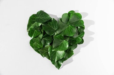 Environmental , Green energy, eco concept. Green leaves in heart shape on white background. Flat lay. Green Energy, renewable and sustainable resources
