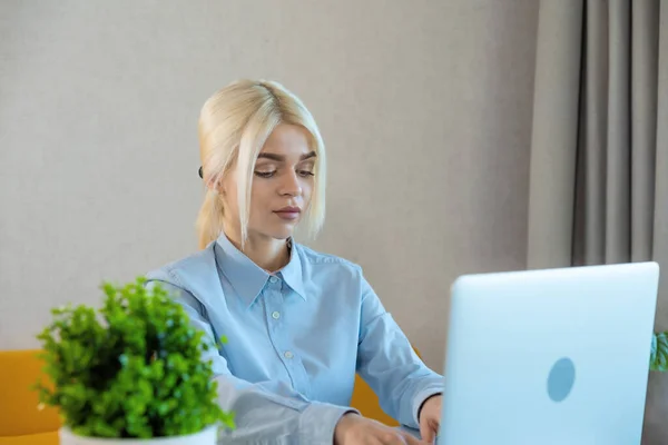 Young blonde woman working on laptop at office. Female student on banker or manager internship. Young businesswoman at her workplace