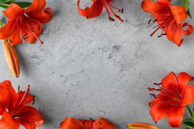 Çiçek kompozisyonu. Gri arkaplandaki turuncu zambak çiçeklerinden yapılmış çerçeve. Düz yatıyordu. Üst Manzara. Fotokopi alanı olan düğün ya da yıldönümü kartı