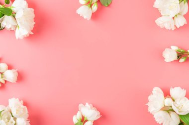 Çiçek kompozisyonu. Çerçeve pembe arka planda beyaz yasemin çiçeklerinden yapılmış. Düz yatıyordu. Üst Manzara. Fotokopi alanı olan düğün ya da yıldönümü kartı