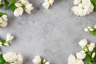 Çiçek kompozisyonu. Gri arka planda beyaz yasemin çiçeklerinden yapılmış bir çerçeve. Düz yatıyordu. Üst Manzara. Fotokopi alanı olan düğün ya da yıldönümü kartı