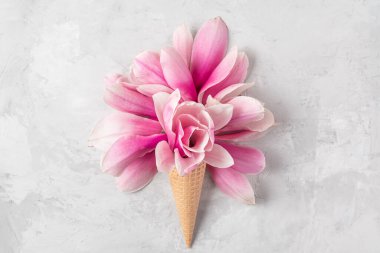 Beton zemin üzerinde pembe manolya çiçekleri olan dondurma külahı. Bahar tatili konsepti. Düz yatıyordu. Üst Manzara. Yaratıcı yerleşim