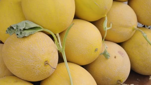Świeże Owoce Melona Ulicznym Rynku Żywności Koncepcja Rolnictwa Rolnictwa Wegańskie — Wideo stockowe