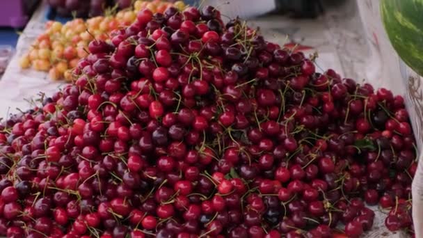 Φρέσκα Μούρα Μια Αγορά Τροφίμων Του Δρόμου Γεωργική Και Γεωργική — Αρχείο Βίντεο