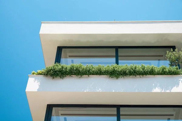 Close up detail of modern residential apartment building exterior with green plants on balcony. Modern sustainable architecture. Minimal abstract background.