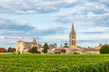 Saint Emilion, Bordeaux, Gironde, Fransa 'nın üzüm bağları. Eski kasabadaki ortaçağ kilisesi ve üzüm tarlasında sıralanmış asmalar. Şarap endüstrisi. Tarım ve tarım kavramı.