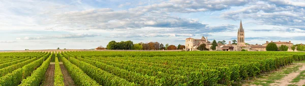 Vue Panoramique Des Vignobles Saint Emilion Bordeaux Gironde France Eglise — Photo
