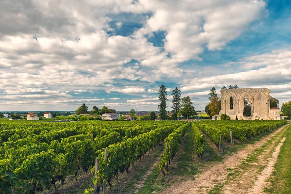 Wijngaarden Van Saint Emilion Bordeaux Wijngaarden Frankrijk Ruïnes Van Middeleeuwse — Stockfoto