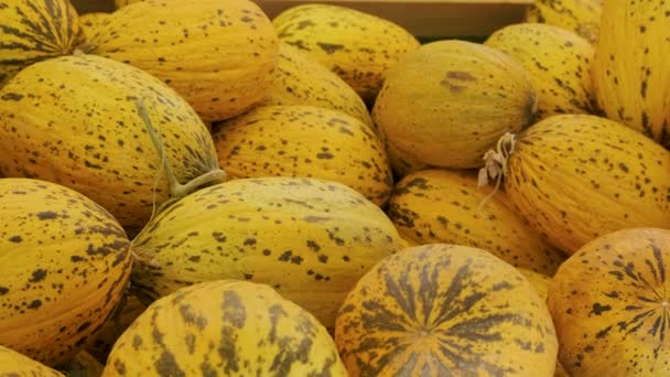 ストリートフード市場で新鮮なメロンの果物 農業と農業の概念 ビーガン ベジタリアンフード — ストック動画
