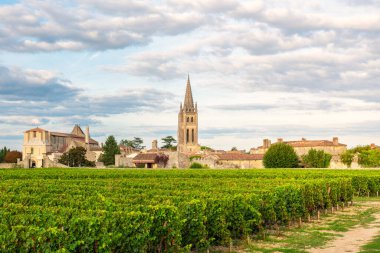 Saint Emilion, Bordeaux, Gironde, Fransa 'nın üzüm bağları. Eski kasabadaki ortaçağ kilisesi ve üzüm tarlasında sıralanmış asmalar. Şarap endüstrisi. Tarım ve tarım kavramı.