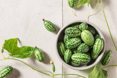 Taze organik melothria scabra ya da ekşi turşu, arka planda fare karpuzu. Sağlıklı yiyecekler. Organik sebzeler. Üst Manzara. Kapat.