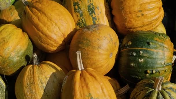 街头食品市场上新鲜的南瓜蔬菜 农业和农业概念 素食和素食 — 图库视频影像