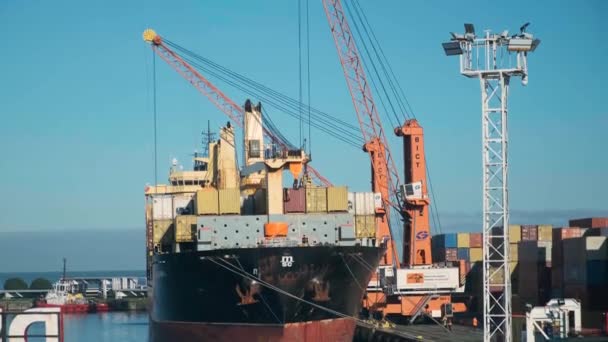 Batumi Georgië November 2022 Dokskranen Bij Zeehaven Laden Containers Naar — Stockvideo