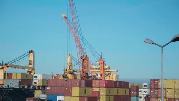 Batumi Georgië November 2022 Containers Zeehaven Laden Naar Containervrachtschip Scheepvaart — Stockvideo