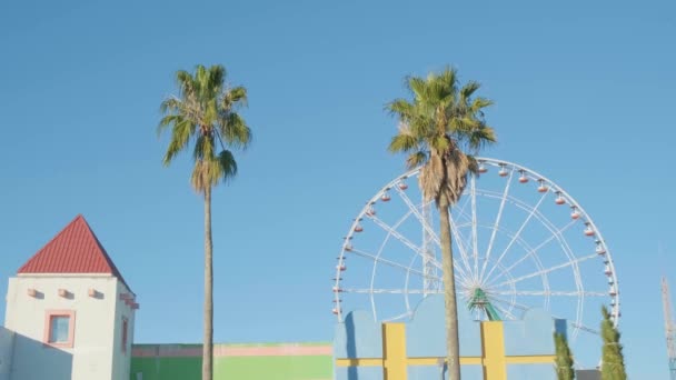 Pastellfärgade Byggnader Exteriör Med Palmer Och Pariserhjul Abstrakt Minimal Geometrisk — Stockvideo