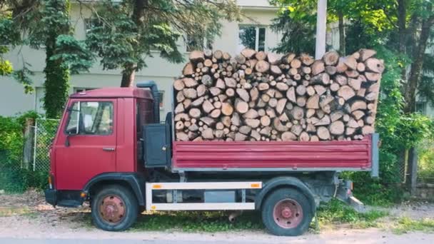 满载木柴的垃圾车 卡车装载了一堆堆木料 准备在加热季节交货 冬寒时火炉用的柴火 — 图库视频影像