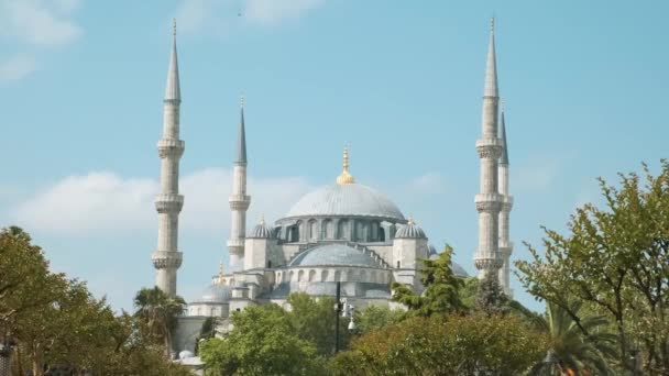 Голубая Мечеть Султан Ахмед Среди Зеленых Садов Стамбуле Турция Популярный — стоковое видео