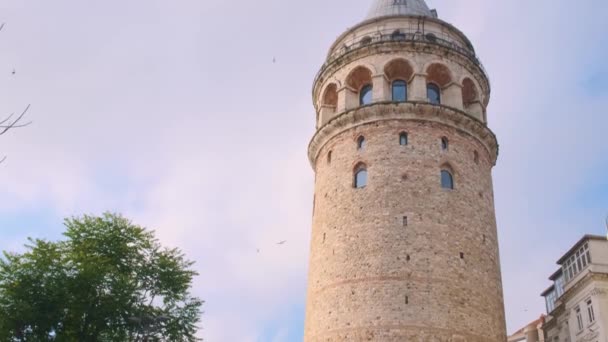 Galata Turm Mit Fliegenden Möwen Altstadtviertel Beyoglu Istanbul Türkei Beliebtes — Stockvideo