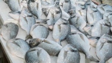 Yunanistan 'ın Atina kentindeki deniz ürünleri pazarında buz tezgahında duran taze taze deniz çipleri. Dorada ile birlikte balık pazarında açık raf. Kapat..