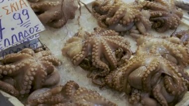 Yunanistan 'ın Atina kentindeki deniz ürünleri pazarında buz tezgahında duran taze ahtapotlar. Balık pazarında kabuklu deniz ürünleriyle dolu bir raf. Kapat..