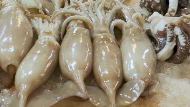 Syrové Čerstvé Olihně Chobotnice Ležící Ledové Přepážce Trhu Mořskými Plody — Stock video