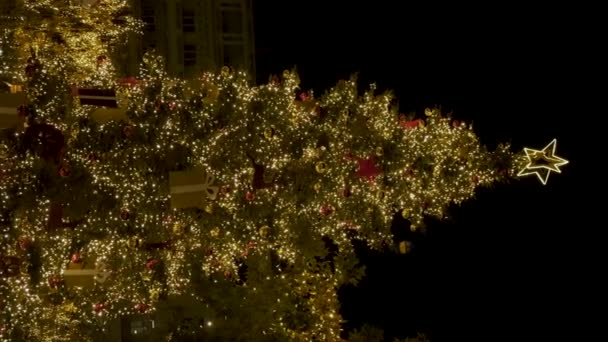 Vánoční Stromeček Světla Noci Zdobené Osvětlené Centrální Náměstí Syntagma Aténách — Stock video