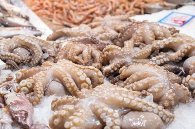 Yunanistan 'ın Atina kentindeki deniz ürünleri pazarında buz tezgahında duran taze çiğ ahtapotlar. Balık pazarında kabuklu deniz ürünleriyle dolu bir raf. Kapat..