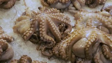 Yunanistan 'ın Atina kentindeki deniz ürünleri pazarında buz tezgahında duran taze ahtapotlar. Balık pazarında kabuklu deniz ürünleriyle dolu bir raf. Kapat..