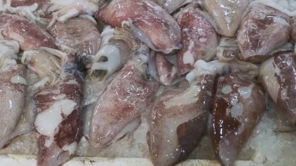 Frische Tintenfische Liegen Auf Der Eistheke Fischmarkt Athen Griechenland Offenes — Stockvideo