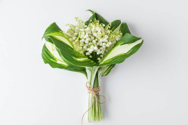 Beyaz arka planda vadideki çiçeklerin zambağı. Kadınlar Günü, Sevgililer Günü kartı. Üst Manzara. Düz yatıyordu.