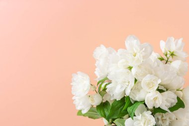 Şeftali rengi arka planda beyaz yasemin çiçekleri. Kapatın. Kadınlar Günü, Anneler Günü, Evlilik ya da fotokopi çekilen yıldönümü kartı.