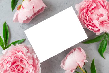 Gri arkaplanda pembe şakayık çiçeklerinden yapılmış çerçevedeki boş tebrik kartı. Düğün davetiyesi. Model yap. Düz yatıyordu. Kadın Günü, Yıldönümü, Anneler Günü planı.