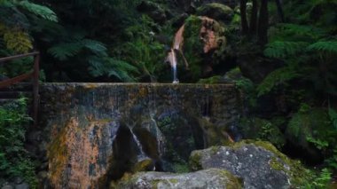 Tropikal ormanda Caldeira Velha, Sao Miguel Adası, Azores, Portekiz 'de şelalesi olan doğal kaplıca..