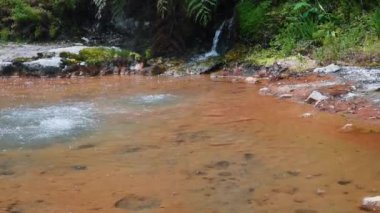 Taze su, tropikal ormanda Caldeira Velha 'nın Doğal Rezervi' nde kaynayan sıcak bahar termal kaplıcalarına akıyor. Sao Miguel Adası, Azores, Portekiz.