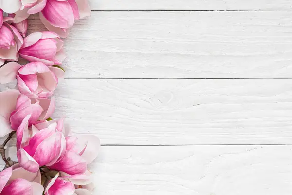 Složení Květin Okraj Jarní Růžové Magnólie Květy Bílém Dřevěném Pozadí Stock Fotografie
