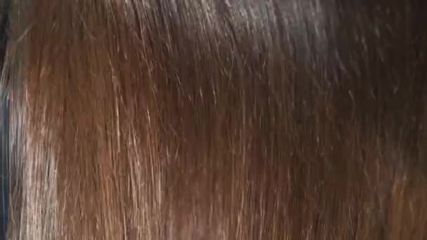 近处闪亮的直棕色长发挥动着 美发女郎 一头健康的长发在美容院里 — 图库视频影像