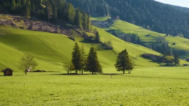 Dolomites Alpleri Ndeki Kırsal Güneşli Arazi Çimenli Tepeler Tarımsal Makineler — Stok video