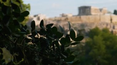 Yunanistan 'ın Akropolis kentindeki Parthenon Tapınağı, güneşli bir günde tepenin zirvesinde. Avrupa 'da popüler yaz tatili tatil beldesi. Odaklan.
