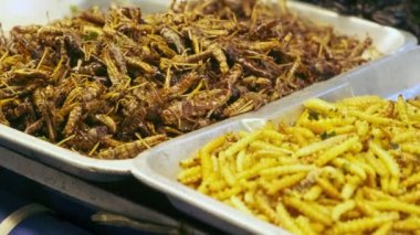 Çin 'in Bangkok, Tayland kentindeki gece pazarında çekirgeler ve larvalar da dahil olmak üzere çeşitli kızarmış böcekler ve böcekler sergilenmektedir. Asya sokak yemekleri sağlıklı atıştırmalıklar. 