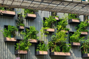 Balkonda büyüyen yeşil bitkilerle birlikte bina cephesi. Malezya 'nın Kuala Lumpur şehrinde dikey bahçe. Sürdürülebilir modern ve ekolojik mimari.