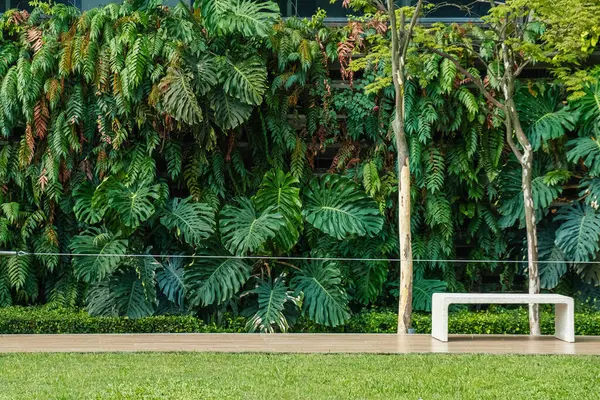 stock image Building facade covered with lush green vertical garden with monstera leaves and fern and bench on foreground in Kuala Lumpur city, Malaysia. Eco friendly urban environment. Sustainable modern and