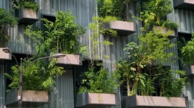 Balkonda büyüyen yeşil bitkilerle birlikte bina cephesi. Malezya 'nın Kuala Lumpur şehrinde dikey bahçe. Sürdürülebilir modern ve ekolojik mimari.