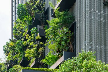 Duvarda yeşil bitkilerin büyüdüğü bir cephe. Malezya 'nın Kuala Lumpur şehrinde dikey bahçe. Çevre dostu şehir ortamı. Sürdürülebilir modern ve ekolojik mimari.