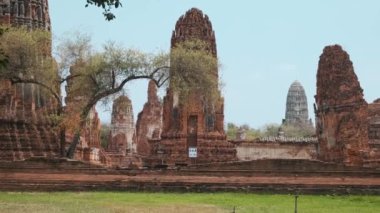 Ayutthaya tarihi parkındaki Wat Mahathat kırmızı tuğla tapınağı, Tayland, Asya. Tarihi Budist mimarisi antik başkent Siyam 'daki arkeolojik alanda. Seyahat ve turizm